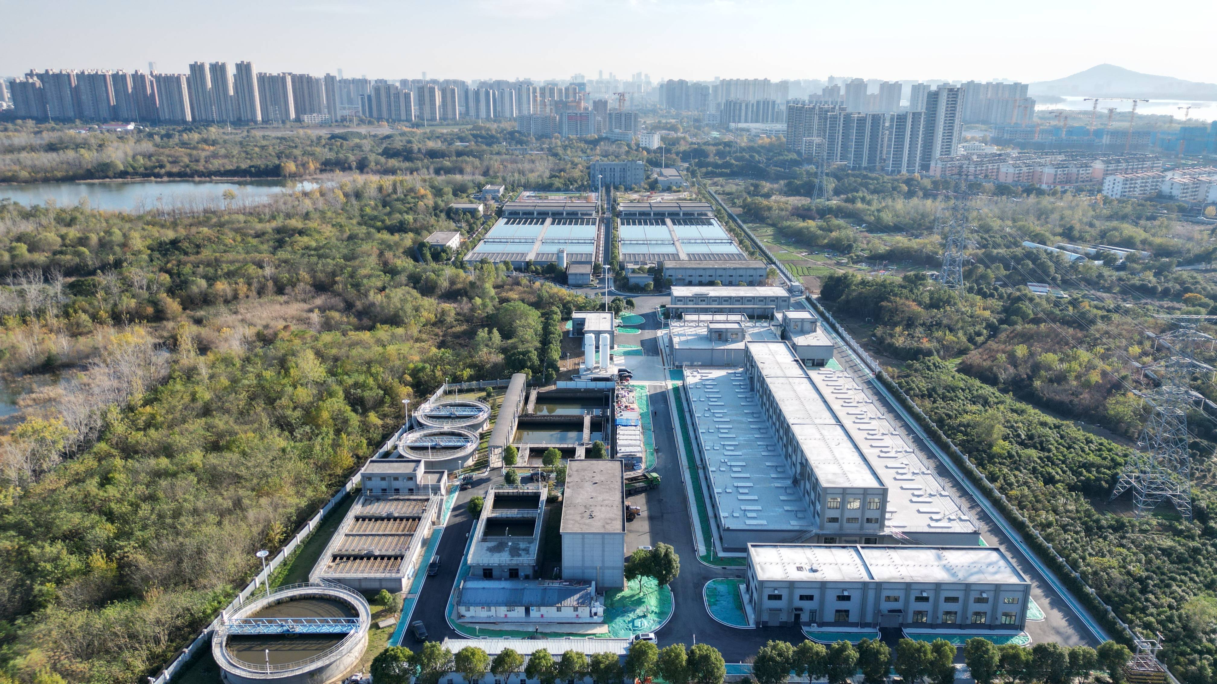 庆阳市合肥专业企业价值增长(合肥市重点企业产业目录)
