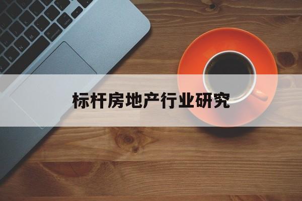 庆阳市标杆房地产行业研究(房地产领域的标杆人物)