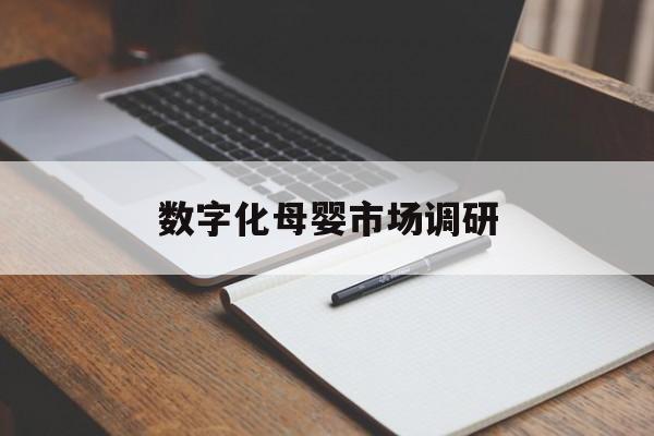 庆阳市数字化母婴市场调研(数字化母婴市场调研报告)