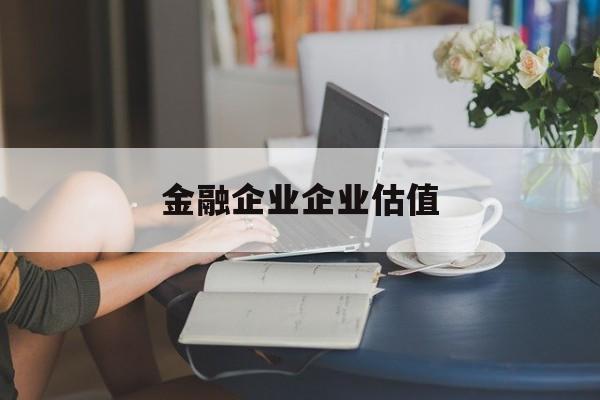 庆阳市金融企业企业估值(最新企业估值怎么填)